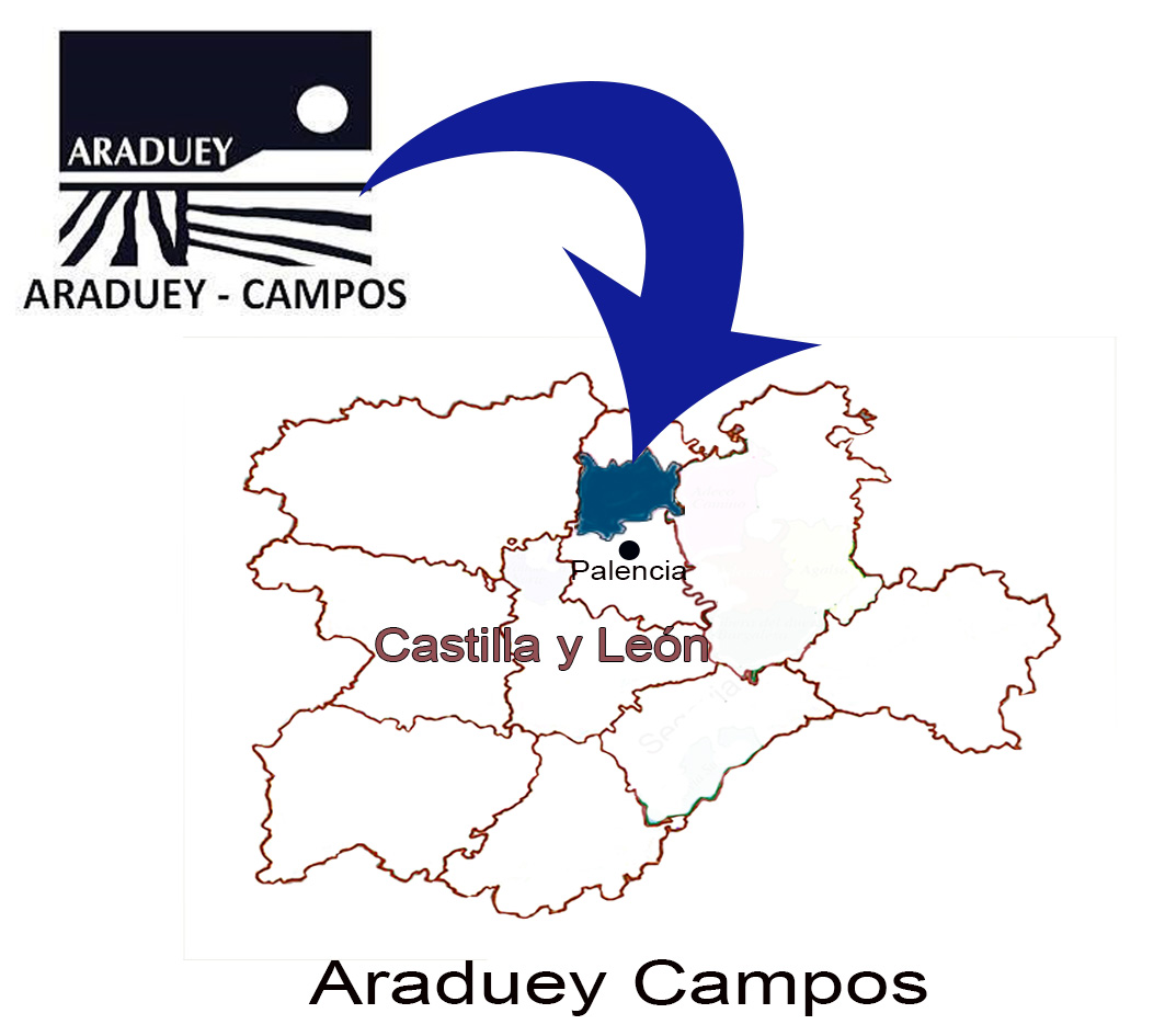 logo Araduey mapa 2 ancho